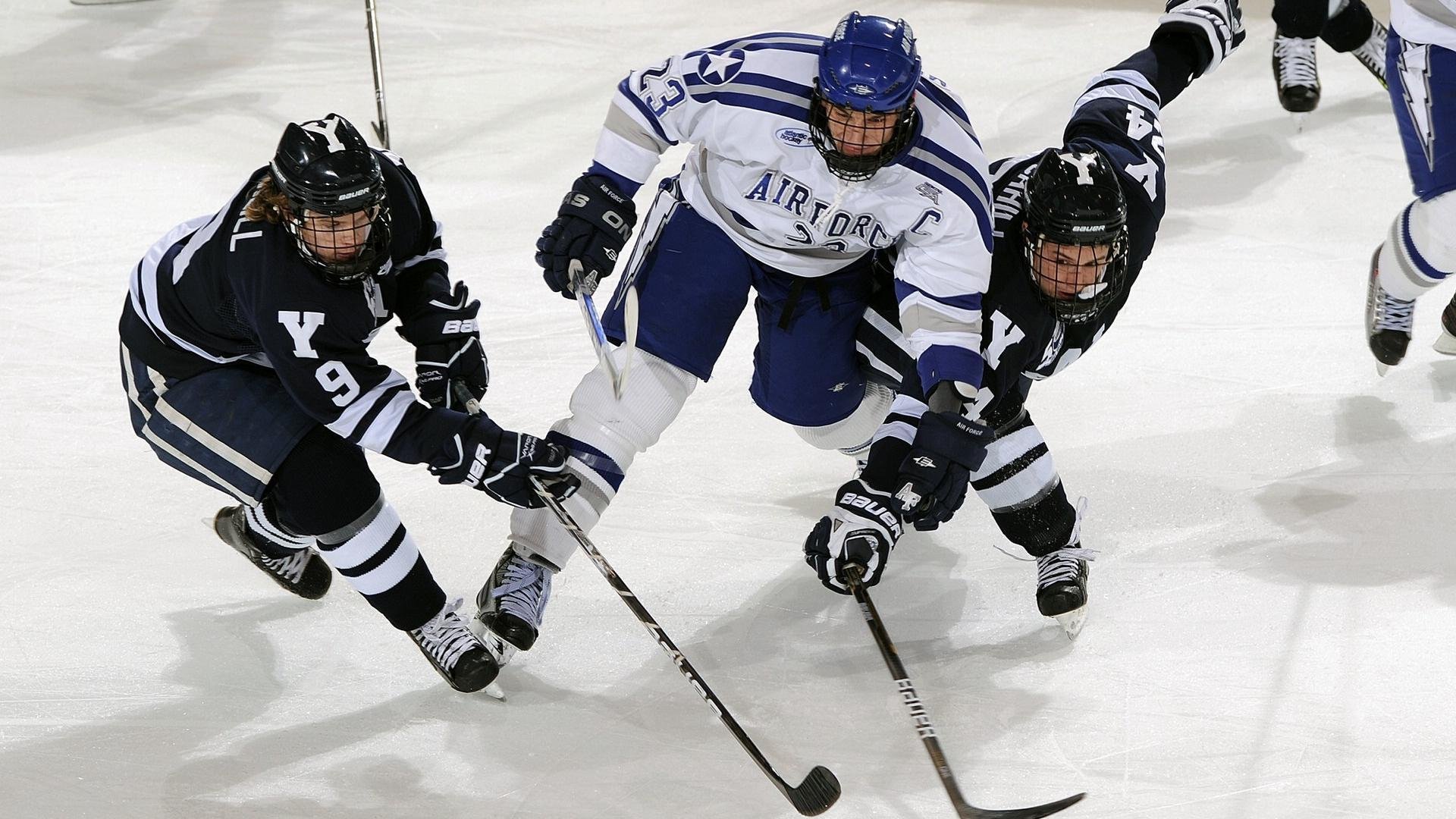 体育焦点赛事数据榜首易主,体育最新热门赛事