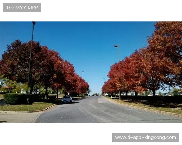 【费城费城人队的坚韧】伤兵满营依旧坚不可摧，费城是啥